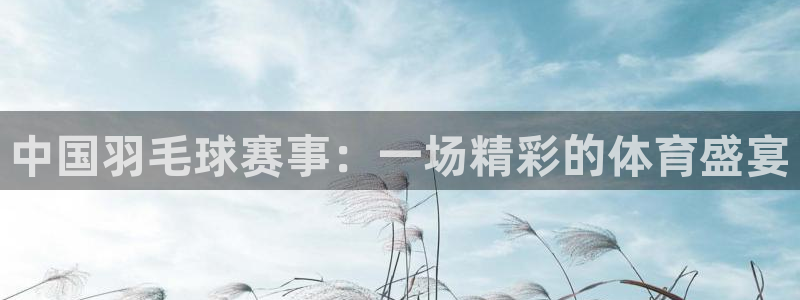 中国羽毛球赛事：一场精彩的体育盛宴