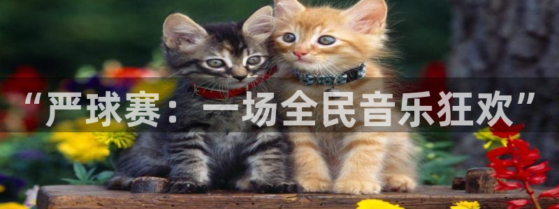  “严球赛：一场全民音乐狂欢”