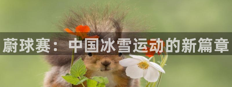 蔚球赛：中国冰雪运动的新篇章