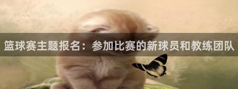 篮球赛主题报名：参加比赛的新球员和教练团队