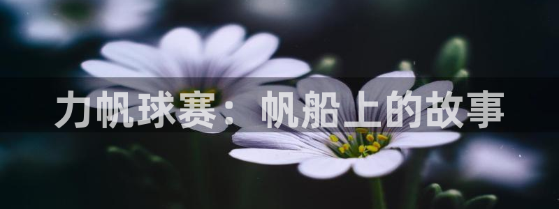 力帆球赛：帆船上的故事