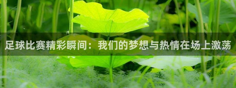  足球比赛精彩瞬间：我们的梦想与热情在场上激荡