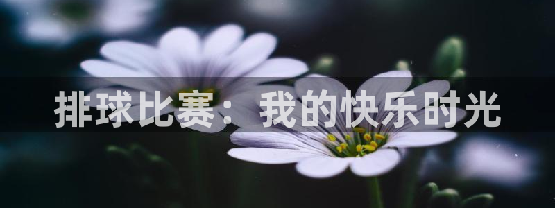 k1体育麻将糊了概率：排球比赛：我的快乐时光