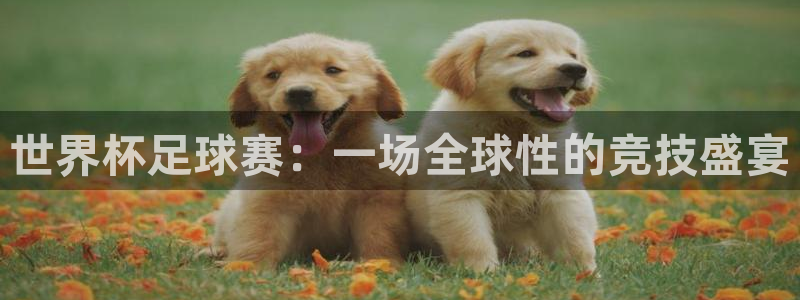 K1体育充50块钱如何打：世界杯足球赛：一场全球性的竞技盛宴