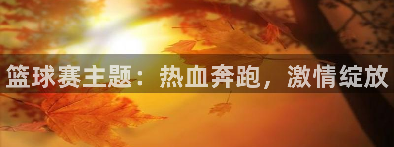  k1体育年收益到什么时候结转：篮球赛主题：热血奔跑，激情绽放